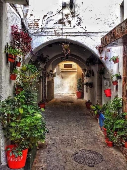 Belle Duplex With Terrace And Rooftop In The Heart Of Medina Tétouan Εξωτερικό φωτογραφία